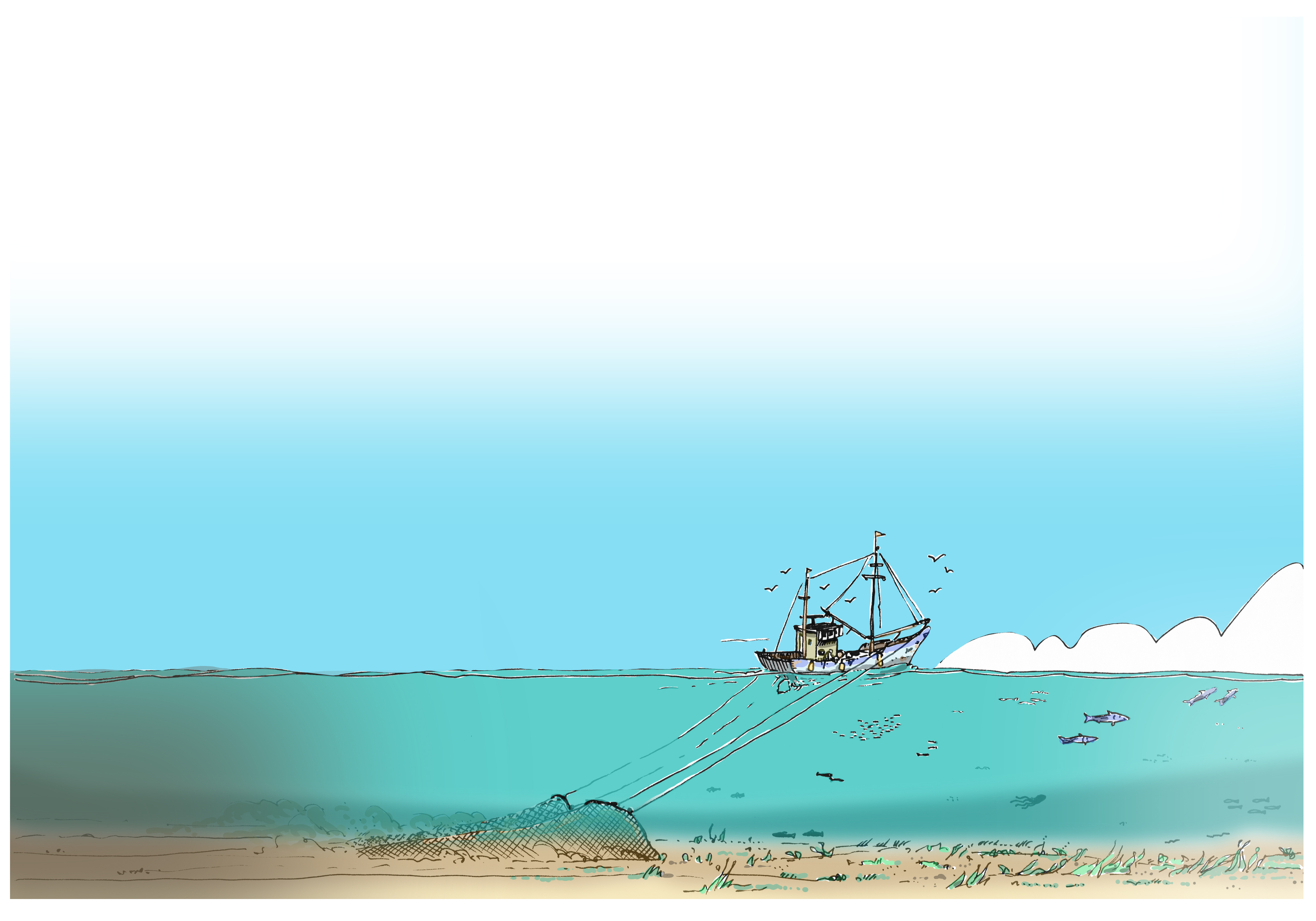 Zwemmen er ooit weer walvissen voor onze kust?